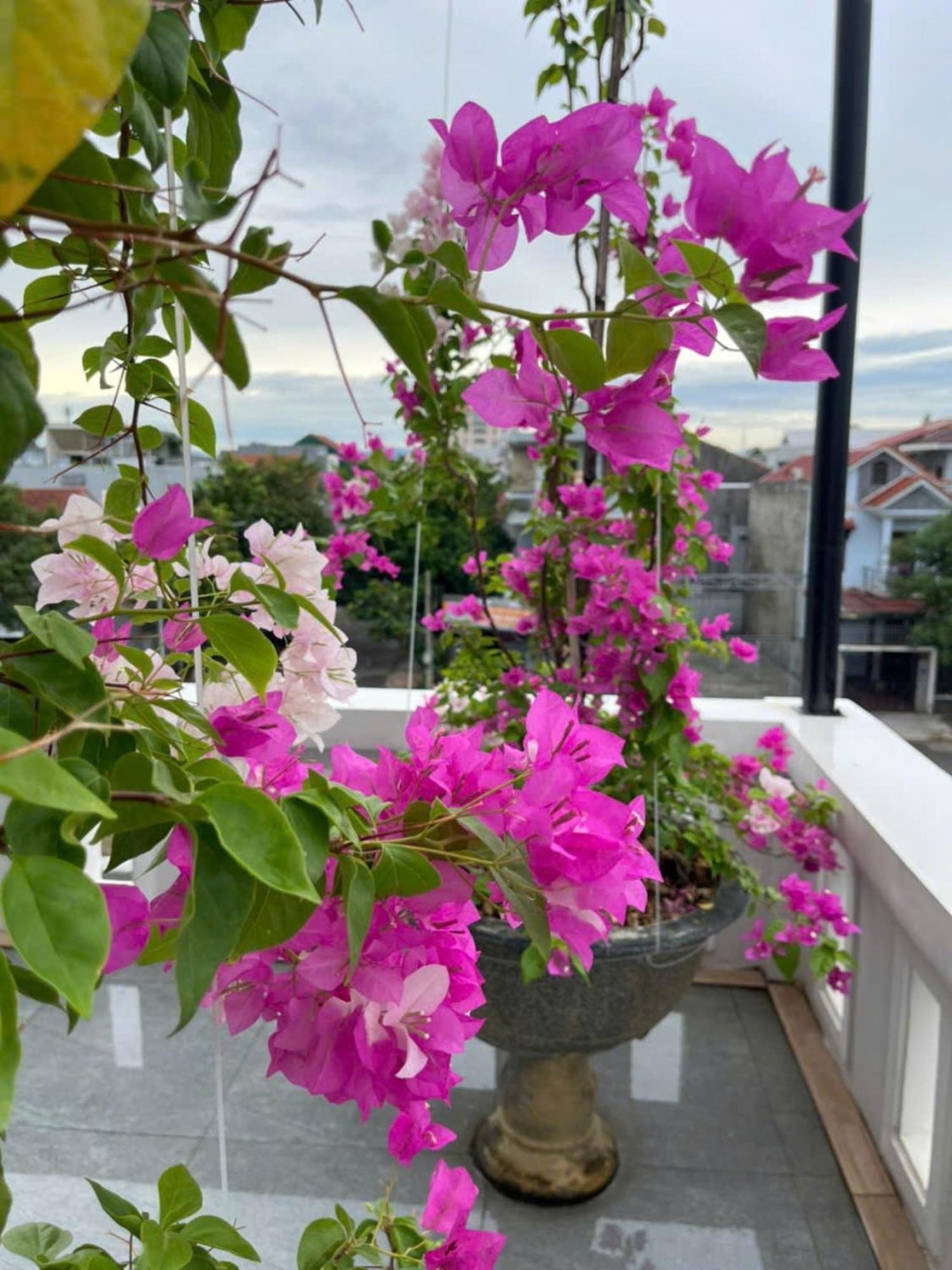 Nhat Long Homestay เว้ ภายนอก รูปภาพ