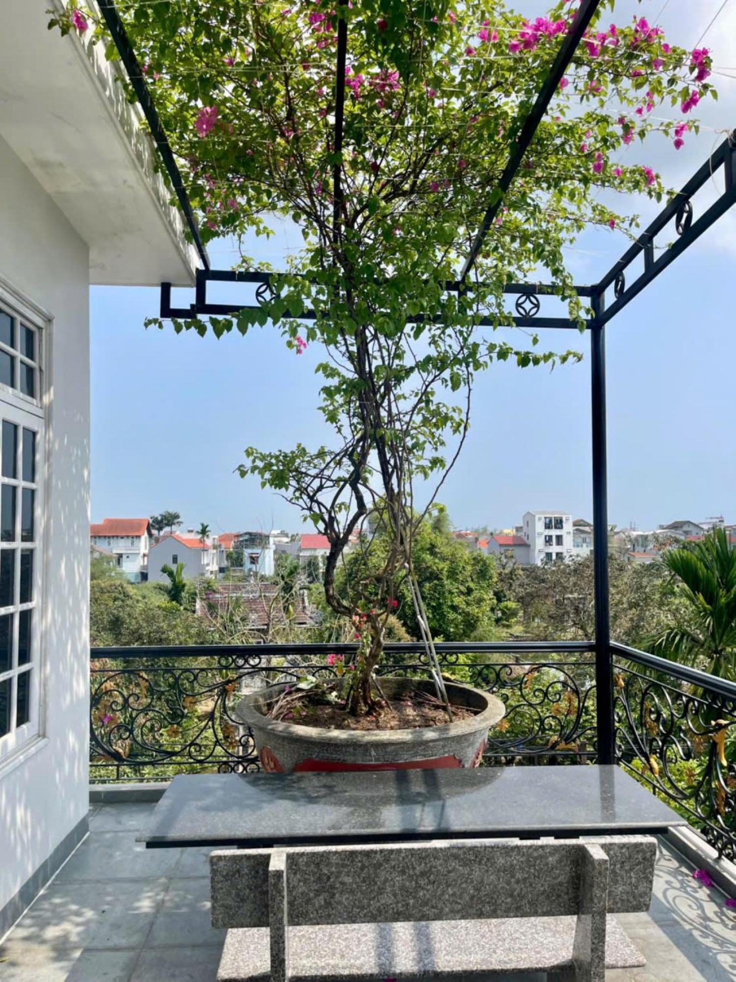 Nhat Long Homestay เว้ ภายนอก รูปภาพ